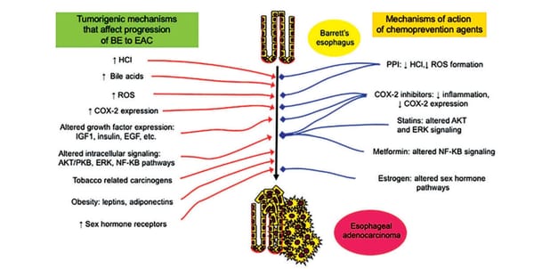 Review of chemoprevention status for esophageal adenocarcinoma