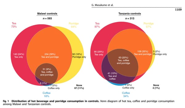 Hot food and beverages and risk of esophageal squamous cell carcinoma in Africa