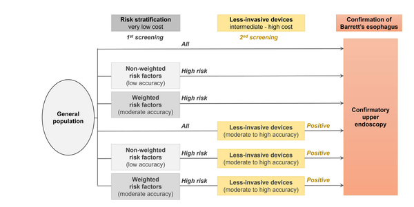 Cost-effectiveness analysis of Barrett's screening